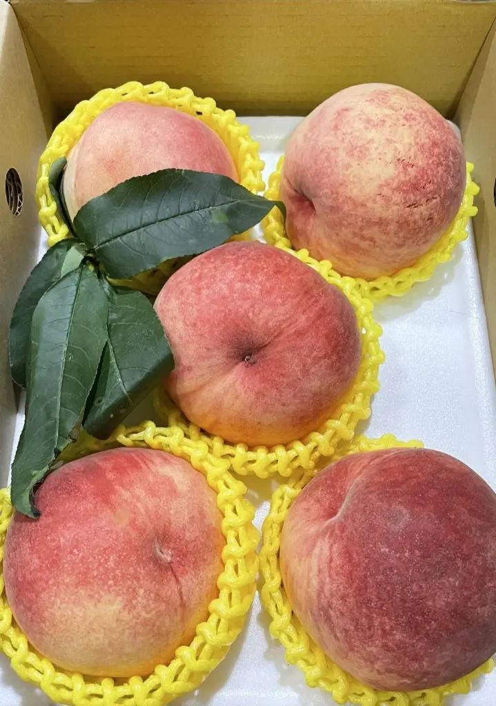 lalashan-whit-peach-5kg.webp