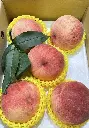 lalashan-whit-peach-5kg.webp