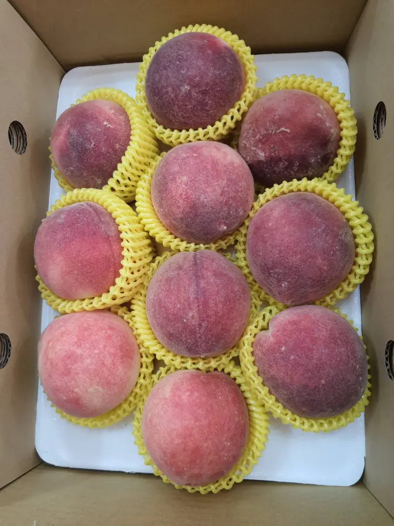 peach-boxed-10pcs-deep-red-b.webp