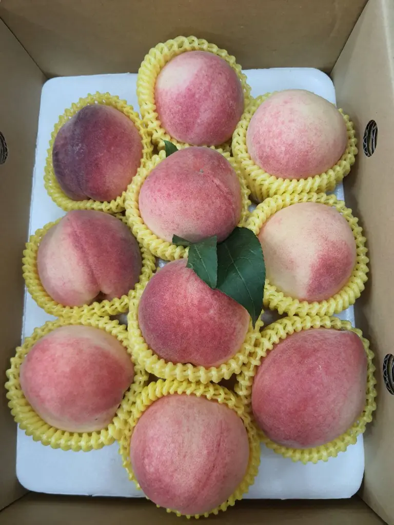 peach-boxed-10pcs-deep-red-a.webp