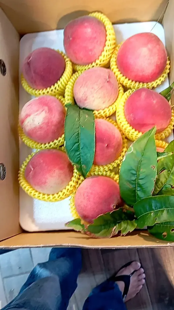 peach-boxed-8pcs-with-leaves.webp