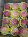 peach-boxed-12pcs-clean.webp