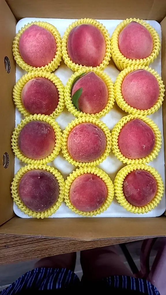 peach-boxed-12pcs-overhead.webp