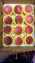 peach-boxed-12pcs-overhead.webp