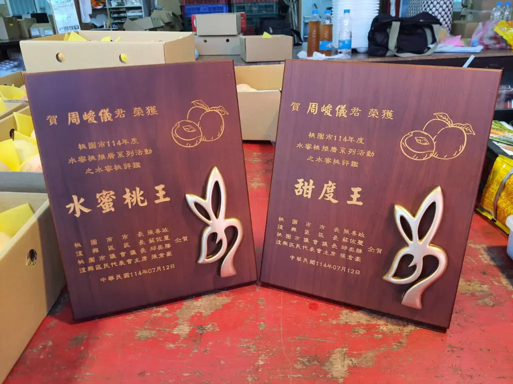 award-both-plaques-side-by-side.webp