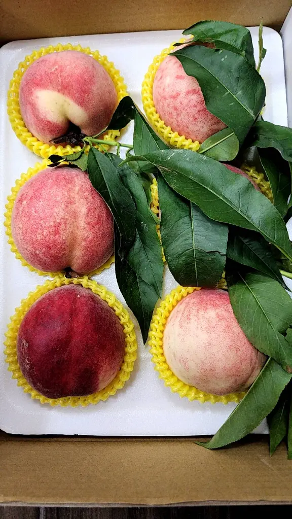 peach-boxed-6pcs-with-leaves-a.webp