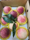 peach-boxed-8pcs-leaves-white-tray.webp