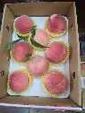 peach-boxed-8pcs-yellow-net.webp